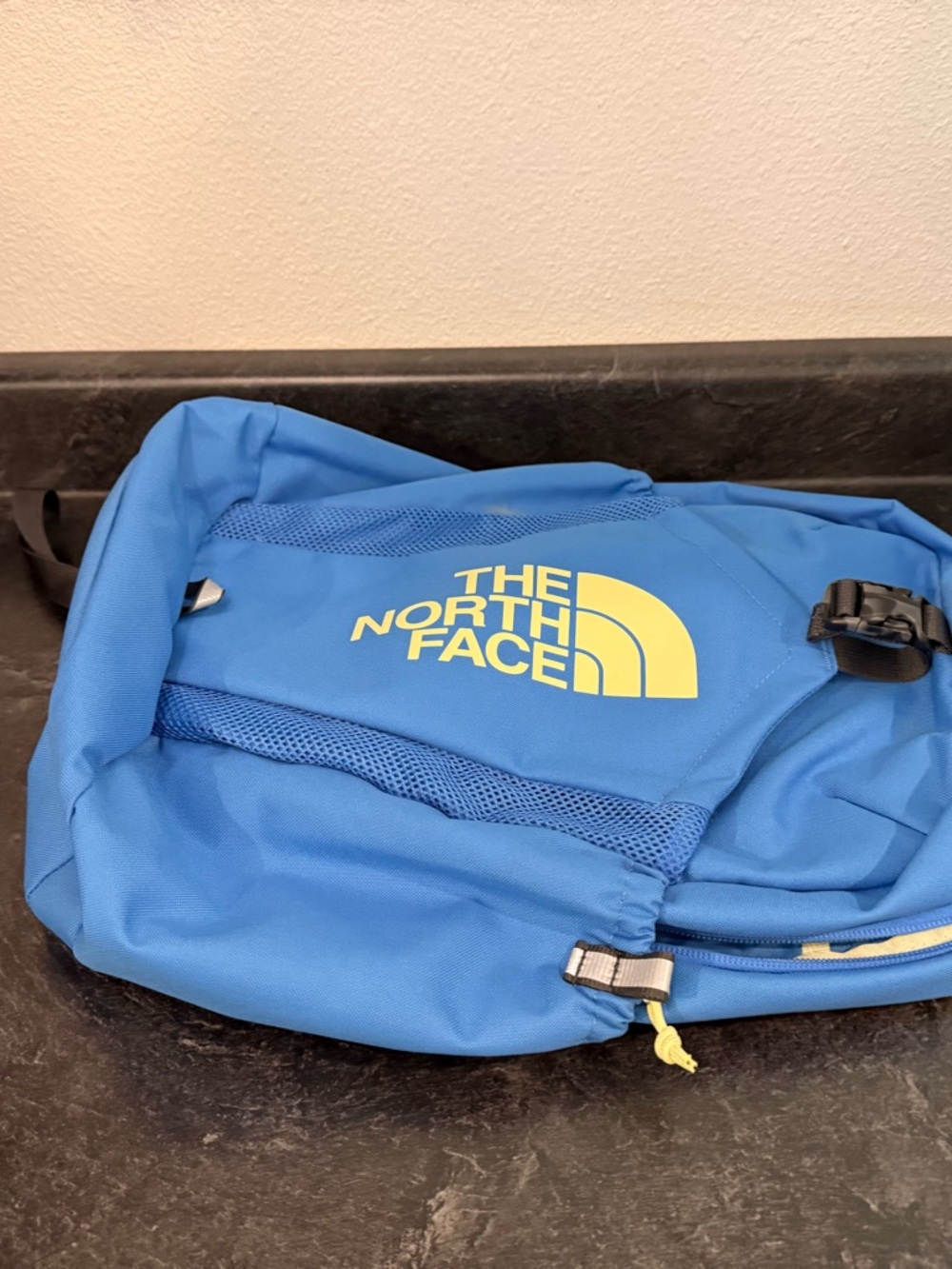 The North Face Blue Backpack with Yellow Logo - - Picture 3 of 5